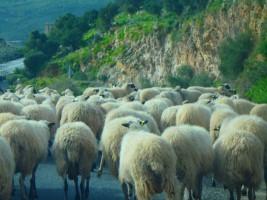 Auto Routen mit GPS Kreta