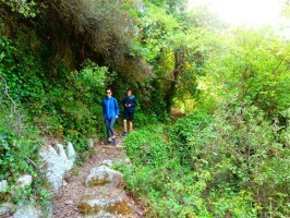 Wandern und Spazieren Kreta