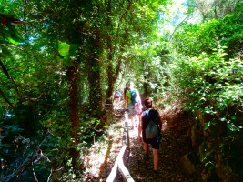 Wandern und Spazieren Kreta