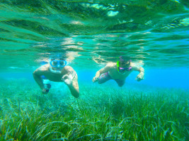 Schnorchel Ausflug Kreta