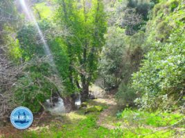 Überwintern auf Kreta